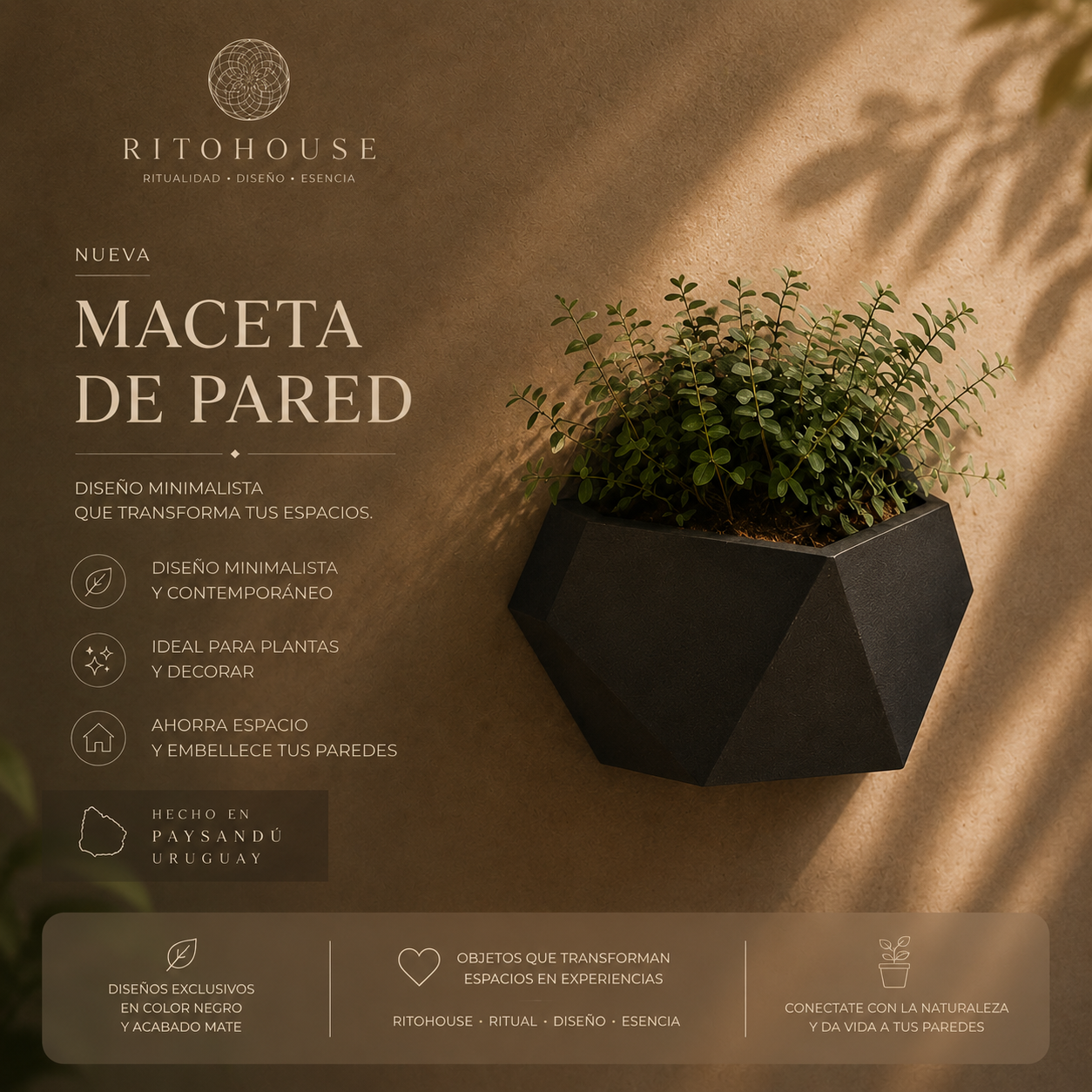 Maceta de Pared Minimalista